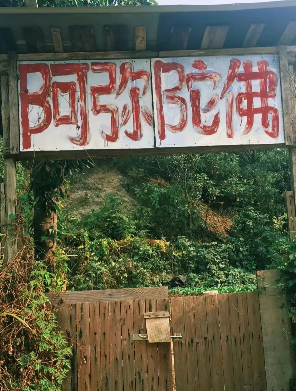 DƬ